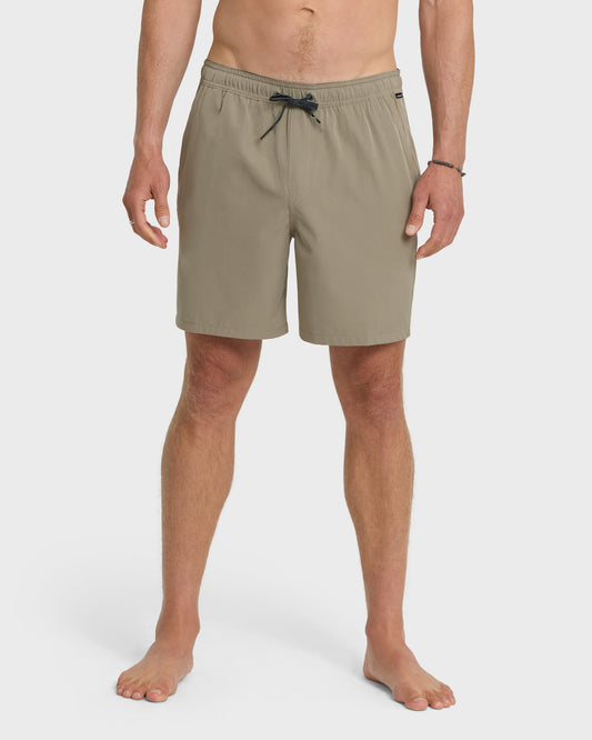 Taxer Amphibian 18" Hybrid Shorts - Fallen Rock | Quick SilverPremium