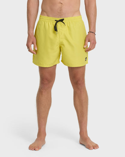 Everyday Solid 17" Swim Trunks - Acacia | Quick SilverLatest