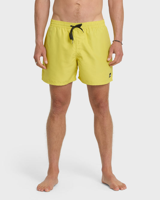 Everyday Solid 17" Swim Trunks - Acacia | Quick SilverLatest