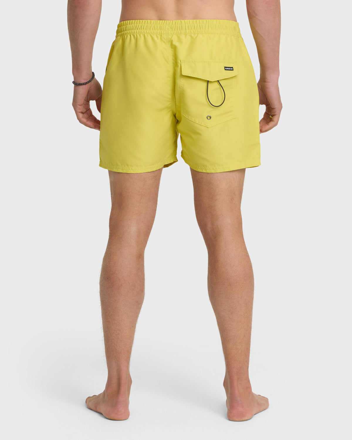 Everyday Solid 17" Swim Trunks - Acacia | Quick SilverLatest