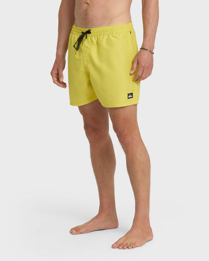 Everyday Solid 17" Swim Trunks - Acacia | Quick SilverLatest