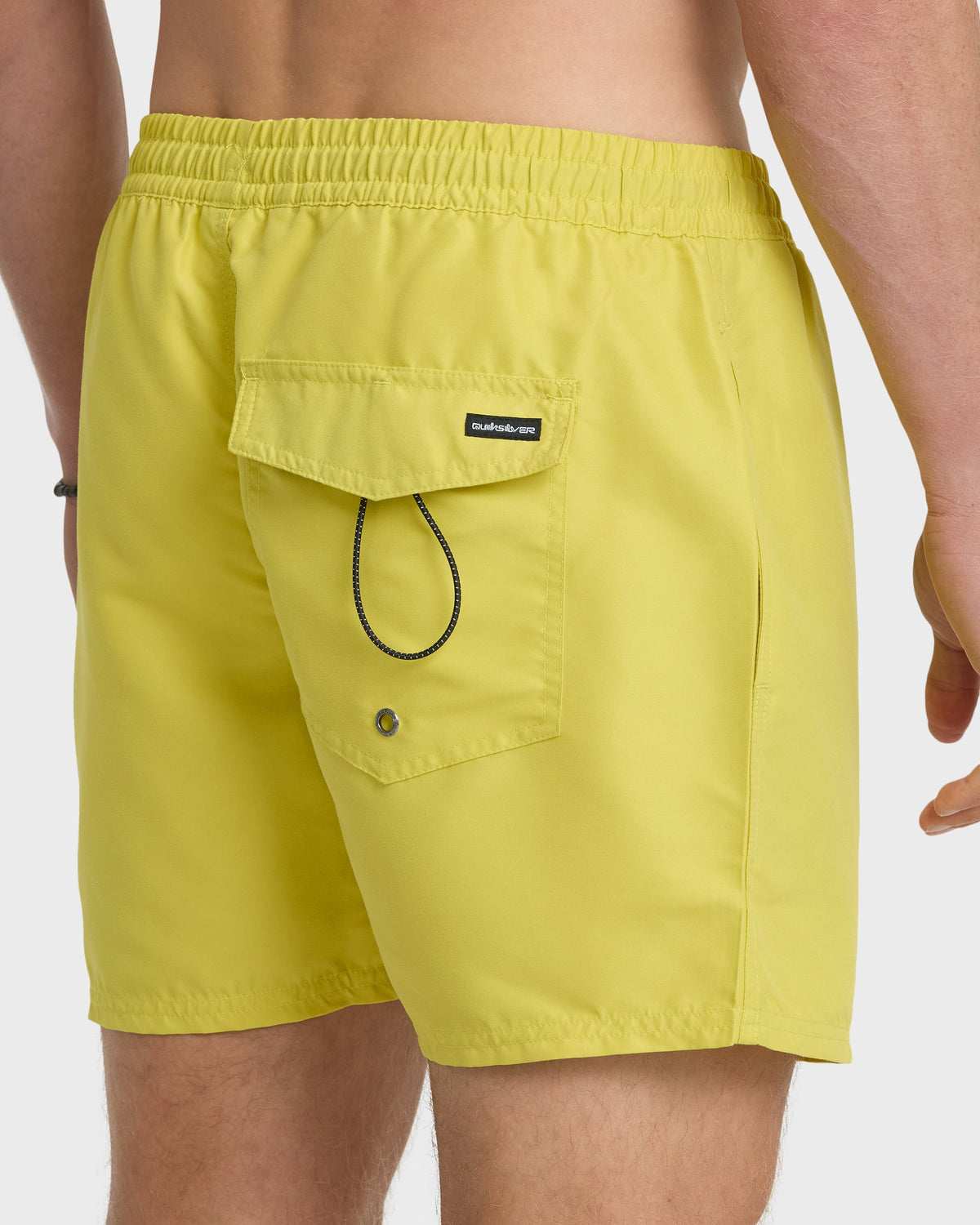 Everyday Solid 17" Swim Trunks - Acacia | Quick SilverLatest