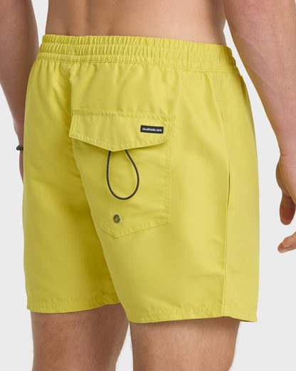Everyday Solid 17" Swim Trunks - Acacia | Quick SilverLatest