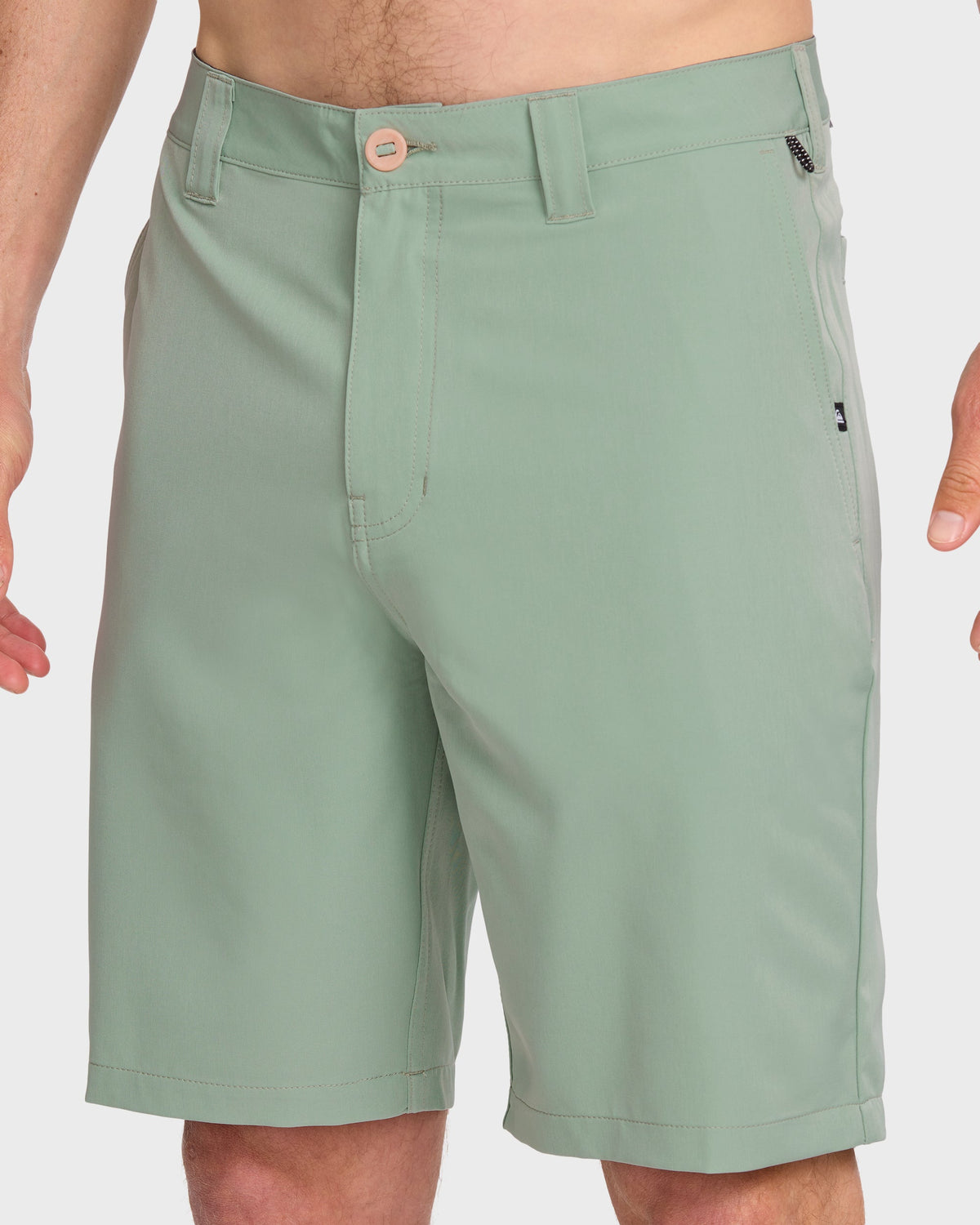 Union Amphibian 20" Hybrid Shorts - Herb | Quick SilverCustomer Favorite