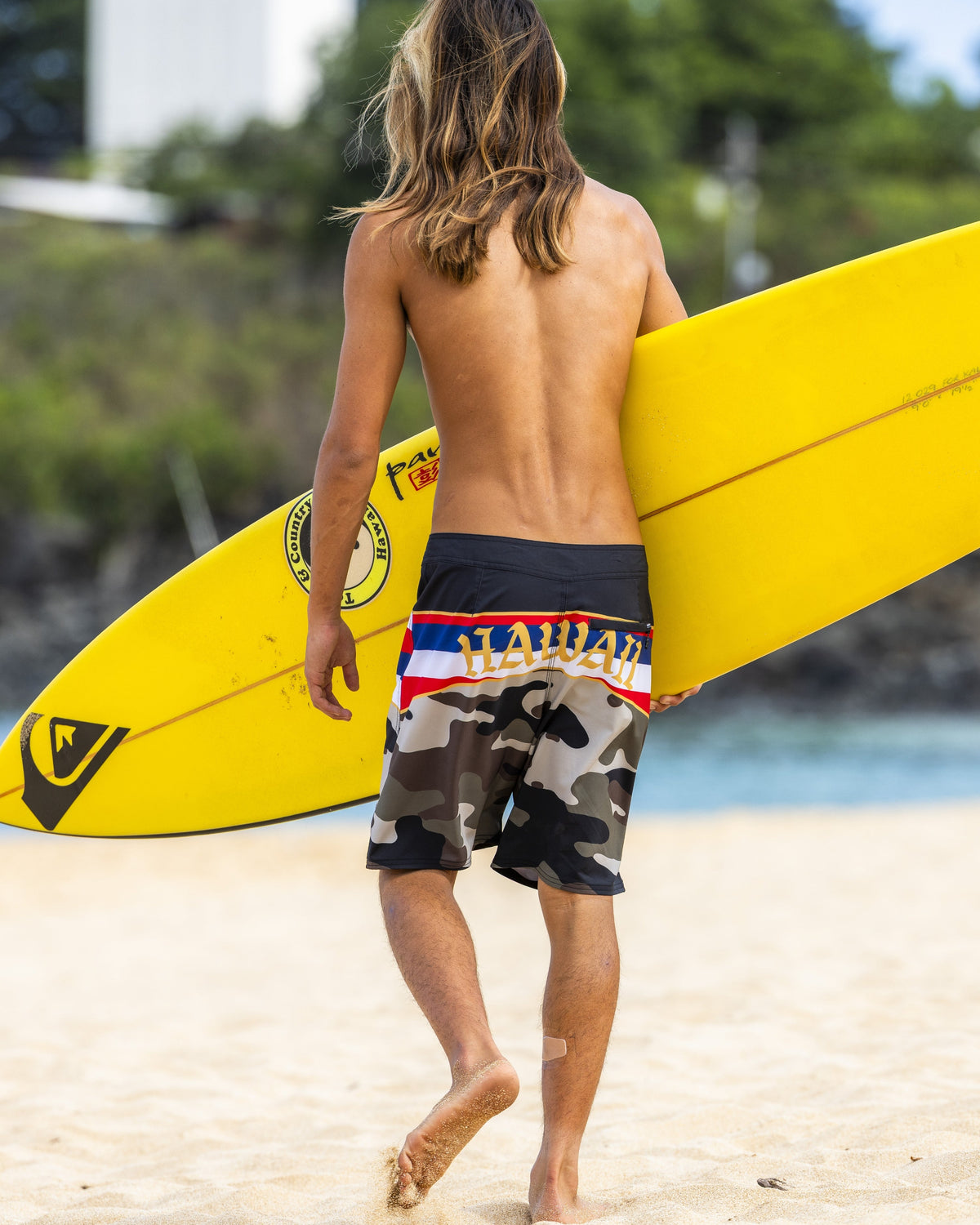 Hi Panel 20" Boardshorts - Grape Leaf | Quick SilverFeatured