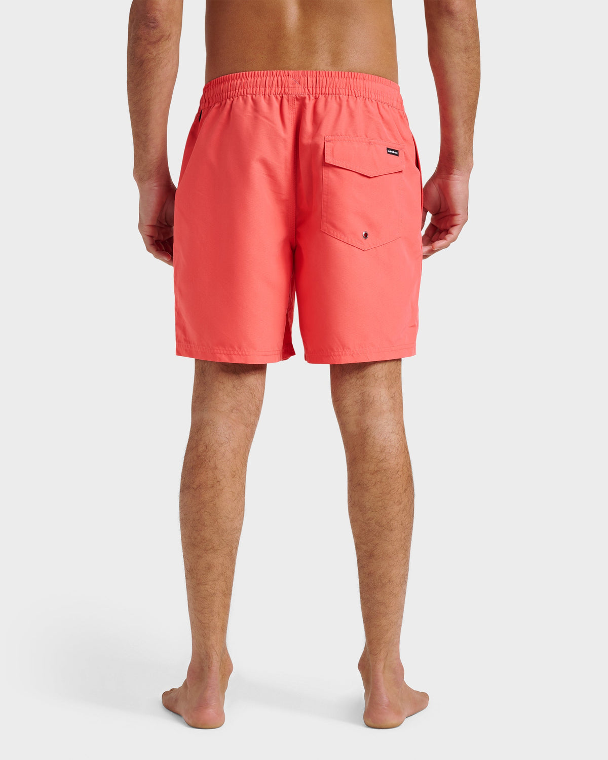 Everyday Solid 17" Swim Trunks - Dubarry | Quick SilverBest Price