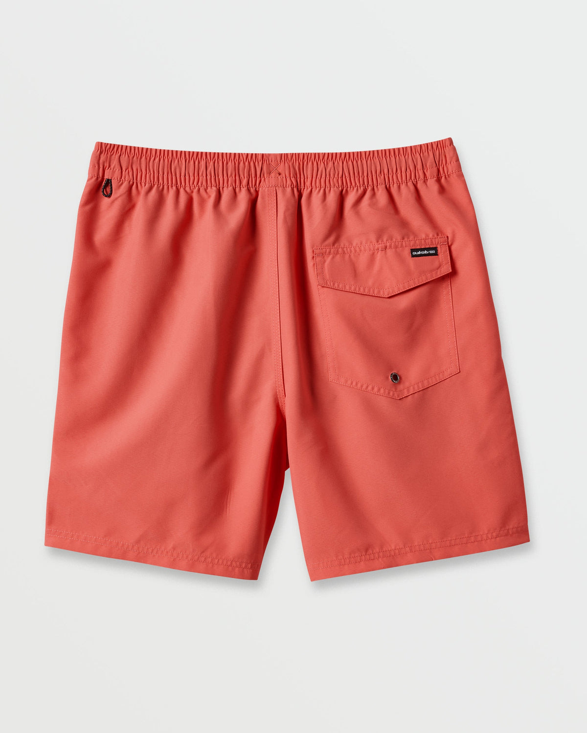 Everyday Solid 17" Swim Trunks - Dubarry | Quick SilverBest Price