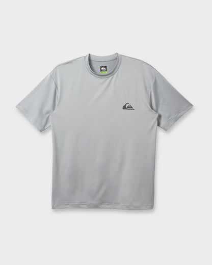 Everyday Short Sleeve Surf Tee - Smokedgray | Quick SilverSpecial Offer